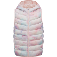 波司登（BOSIDENG）秋冬轻薄羽绒服男女儿童90绒5A抗菌三防马甲外套T40135510 山川灵镜粉9AX3 160 /80 160/80