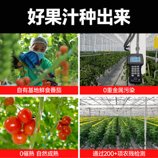  一颗大 高膳食纤维 果汁饮料  【4口味混合装】4瓶 箱装