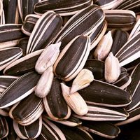 童年记瓜子420g亚林瓜子原味葵花子零食坚果炒货新货内蒙瓜子