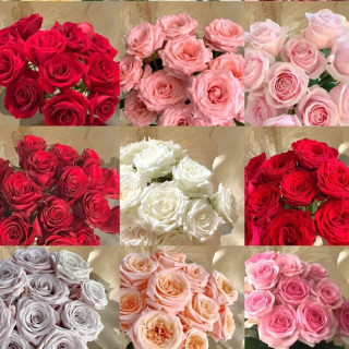 年货大集：花间町 情人节送女 随机玫瑰鲜花30枝昆明直发