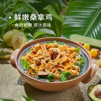 WENS/温氏 散养土鸡 黄油鸡肉切片