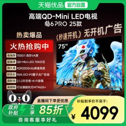 雷鸟 鹤6 Pro系列 25款 75S595C Pro 液晶电视 75英寸 4K