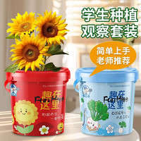 德沃多 向日葵种植杯 儿童趣味小盆栽