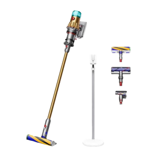 戴森（DYSON）Dyson戴森家用无线手持吸尘器 大吸力家用除尘吸尘器 宠物家庭适用【需变压器】 SV46 ABL EX