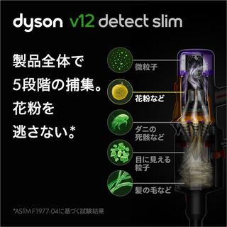 戴森（DYSON）Dyson戴森家用无线手持吸尘器 大吸力家用除尘吸尘器 宠物家庭适用【需变压器】 SV46 ABL EX