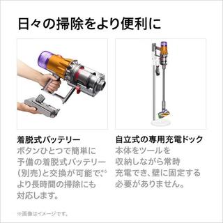 戴森（DYSON）Dyson戴森家用无线手持吸尘器 大吸力家用除尘吸尘器 宠物家庭适用【需变压器】 SV46 ABL EX
