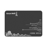 长城 GW520 固态硬盘 SATA接口 强悍性能 稳定兼容 黑色 240G