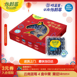 怡颗莓 蓝莓 125g*4盒