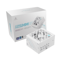 鑫谷 数智DM-P 电脑电源 80PLUS白金牌 全日系电容 ATX3.1高标准 DM-850P（白色/冰山版 850W）