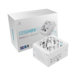 鑫谷 数智DM-P 电脑电源 80PLUS白金牌 全日系电容 ATX3.1高标准 DM-850P（白色/冰山版 850W）