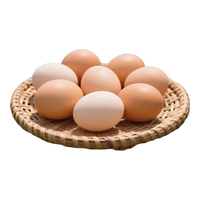 京喜加 逗别三日谷物喂养农家土鸡蛋40g±5g初产蛋现捡现发新鲜营养 40枚