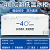 雪诗希商用冷柜卧式冰柜商用大容量冷藏冷冻冷柜保温柜商用展示柜单温两用冰柜商用冷冻柜 零下40度650冰柜