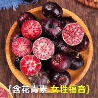 云南红果参当季新鲜现摘大果罕见水果蜘蛛果脆甜红参果果参