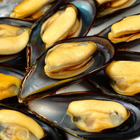 京乐狳海虹新鲜青口贝贻贝淡菜现捞现发海鲜水产贝类4斤装