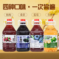 拾黛桑葚酒青梅酒果酒原汁发酵果酒5斤低度甜酒微醺