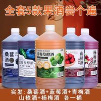 拾黛桑葚酒青梅酒果酒原汁发酵果酒5斤低度甜酒微醺
