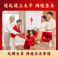 三太子年货节必备过年休闲解馋儿童零食大礼包新年礼盒成人解馋 大礼盒-5款/30包/200g