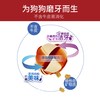 SmartBones洁齿球狗狗磨牙棒小型犬零食泰迪柯基幼犬骨头磨牙咬胶