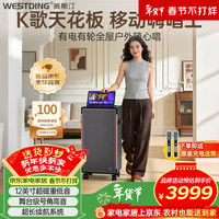威斯汀 ktv音响家庭k歌一体机E8 卡拉ok点歌机折叠显示屏 家用户外便携静音轮街舞蹦迪广场舞舞房蓝牙音箱