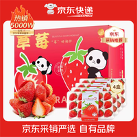 勿语 大凉山高山新鲜草莓现摘现发 农家草莓产地直发采销推荐 4盒装草莓 单果12g+ (36-80枚)净重2.1-2.6斤