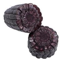 果园汇 东北黑玉米棒净重10根装真空包装 单根200g以上 新鲜蔬菜黑玉米