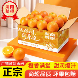 天乐优选 Tianle 天乐 湖南纽荷尔脐橙 9斤 60mm起