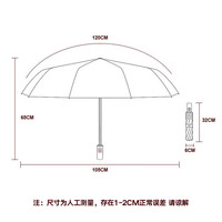 冇力 全自动晴雨伞 男女遮阳伞太阳伞加固抗风折叠雨伞大号24骨梧桐米【清仓特卖】
