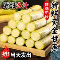 鲜友季 云南黄皮甘蔗现砍 9斤装 净8.5斤
