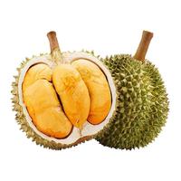 玫栀 黑刺榴莲D200 马来西亚新鲜液氮冷冻带壳整果年货节礼品空运