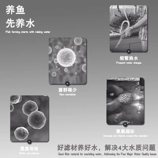珊瑚骨滤材鱼缸高端滤材过滤材料鱼池原矿石海缸造景硝化净化水质