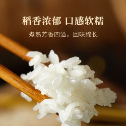 北大荒 正宗五常大米新米5kg/10斤 黑龙江东北大米19266执行标准  粳米  五常大米10斤装