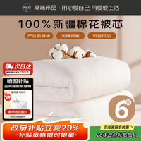 OBXO 100%天然新疆棉花被 纯棉被芯双人被子垫被 冬季棉被6斤1.8x2.2m