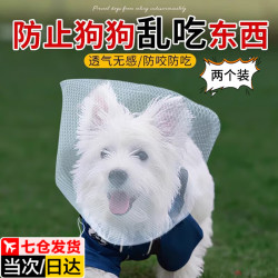 佐之寻 狗狗嘴套防乱吃东西网套防舔神器宠物网罩纱网面罩大型犬专用金毛 2个装透气舒适