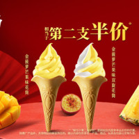 肯德基 金菠萝芒果味花筒 2支