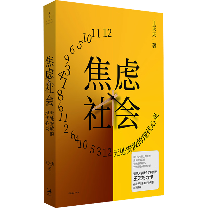  上海人民出版社 清华大学教授王天夫力作 书籍