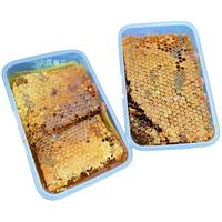 土蜂土蜂蜜纯正天然野生蜂巢蜜嚼着吃蜂蜜老蜂巢蜜蜂窝丰巢蜜蜂巢