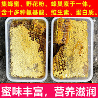 土蜂土蜂蜜纯正天然野生蜂巢蜜嚼着吃蜂蜜老蜂巢蜜蜂窝丰巢蜜蜂巢