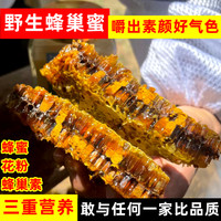 土蜂土蜂蜜纯正天然野生蜂巢蜜嚼着吃蜂蜜老蜂巢蜜蜂窝丰巢蜜蜂巢