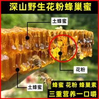土蜂土蜂蜜纯正天然野生蜂巢蜜嚼着吃蜂蜜老蜂巢蜜蜂窝丰巢蜜蜂巢