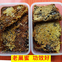 土蜂土蜂蜜纯正天然野生蜂巢蜜嚼着吃蜂蜜老蜂巢蜜蜂窝丰巢蜜蜂巢