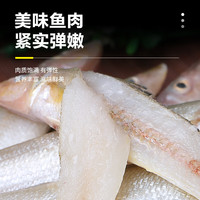 缤鲜 新鲜沙丁鱼 国产活冻沙尖沙钻鱼人工冷冻船捕海鲜水产鱼类无小刺 新鲜沙丁鱼5斤【无小刺】净重