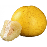 桃西村重庆特产梁平柚 龙滩柚农家白心蜜柚子麻柚子正宗梁山蜜新鲜水果 2斤 精选中果【尝鲜装】