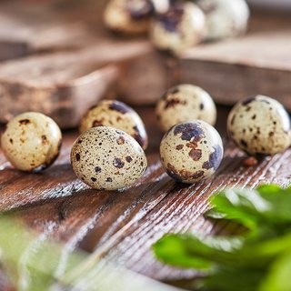 琼艺 新鲜散养鹌鹑蛋 400g(50-100枚)