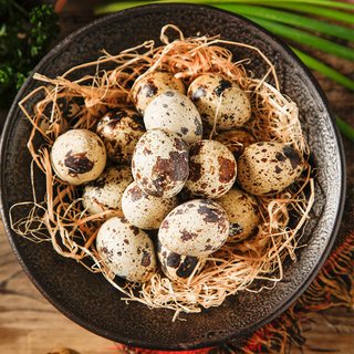 琼艺 新鲜散养鹌鹑蛋 400g(50-100枚)