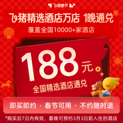 补贴！飞猪精选酒店全国340+城10000+店1晚通兑-春节可用