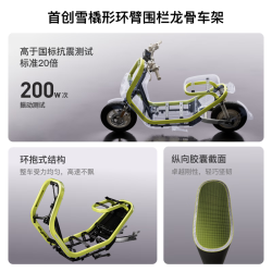 小牛电动 智能电瓶 电动自行车  锂电池 48V