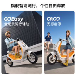 小牛电动 K one 电动自行车 48V24Ah锂电