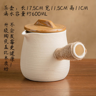  FASSON 德国品质 中药熬药壶