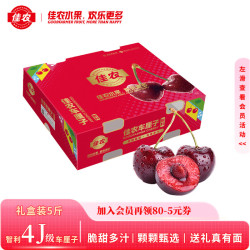 佳农 智利车厘子超级巨无霸4J级 5斤礼盒装 果径约32-34mm