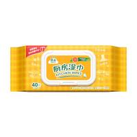 Hygienix 洁云 厨房湿巾